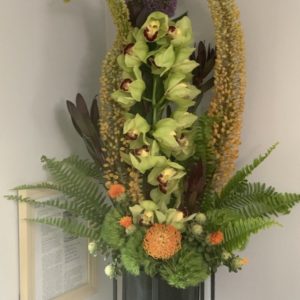 Orchids with Foxtails