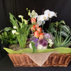 Garden Basket