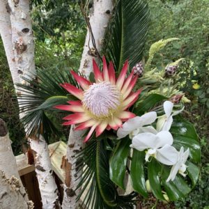 Protea with Orchids
